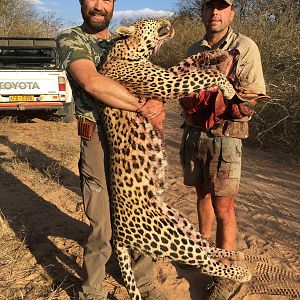 Leopard Hunt Zimbabwe