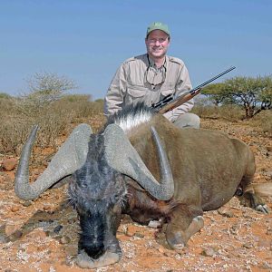 Fine Black Wildebeest