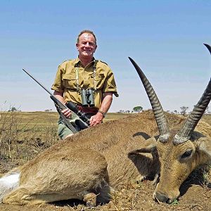 Common Reedbuck