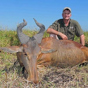 Lichtensteins Hartebeest