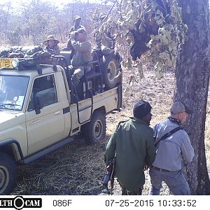 Tanzania Hunting Leopard Trail Cam