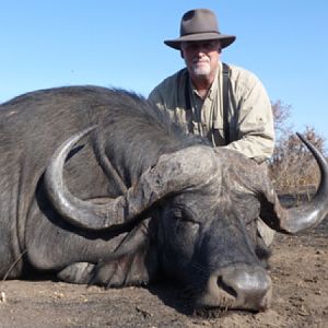 Cape Buffalo Tanzania Hunt