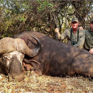 Cape Buffalo Tanzania Hunt