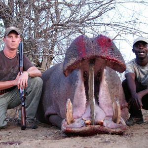 Hunt Hippo Tanzania