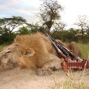 Hunting Tanzania Lion