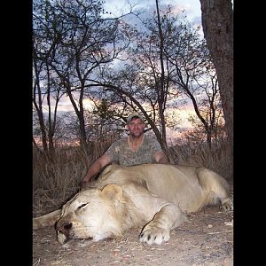 Hunting Tanzania Lion