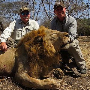 Tanzania Hunting Lion