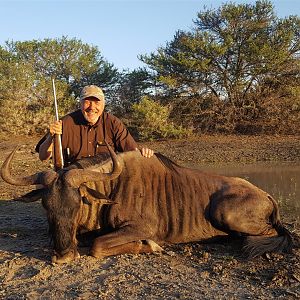 Blue Wildebeest Hunting in South Africa