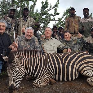 South Africa Burchell's Plain Zebra Hunt