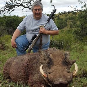 Hunting Warthog in South Africa