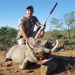 Hunting Warthog in South Africa