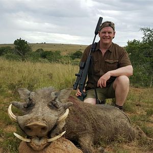 Hunting Warthog in South Africa