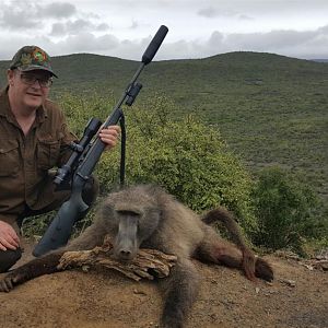 South Africa Baboon Hunt