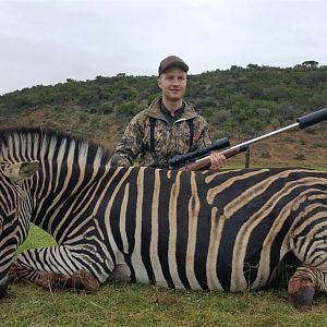 South Africa Burchell's Plain Zebra Hunt