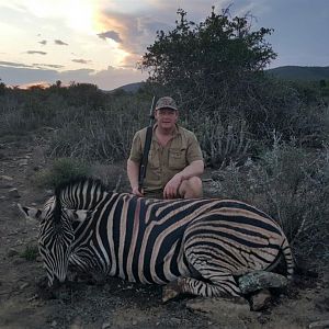 South Africa Burchell's Plain Zebra Hunt