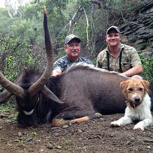 Hunt Nyala South Africa