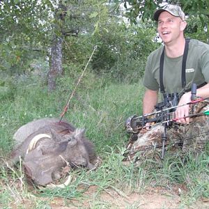 Bow Hunt Warthog