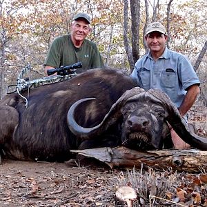 Cross Bow Hunting Buffalo