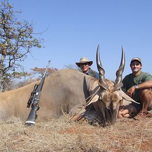 Hunting Eland