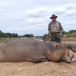 Hunt Hippo