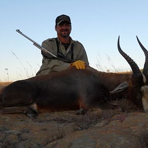 South Africa Blesbok Hunt