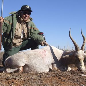 Hunt White Blesbok South Africa