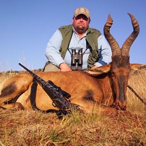 Red Hartebeest Hunting in South Africa