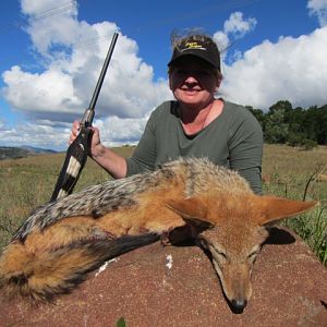 South Africa Jackal Hunting