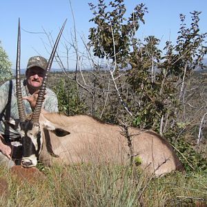 Gemsbok Hunting South Africa