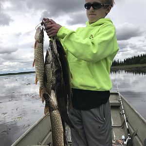 Pike Fishing Alexander Lake Alaska