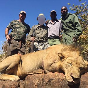 Lion Hunt Matetsi Zimbabwe