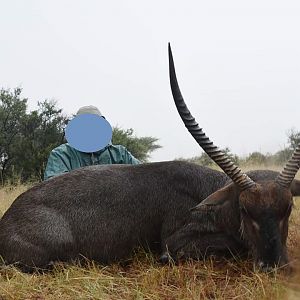 Hunting Waterbuck in South Africa