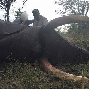 Elephant Hunting Matetsi Zimbabwe