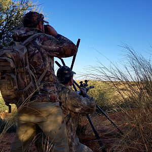 Hunting South Africa Kalahari