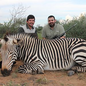 Hunting Hartmann Mountain Zebra Namibia