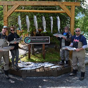 Salmon Fishing Kenai Riverside Lodge Alaska