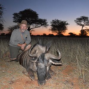 Blue Wildebeest Hunting in Namibia