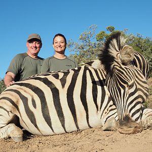 South Africa Burchell's Plain Zebra Hunt