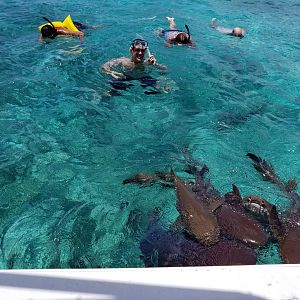 Belize Snorkling