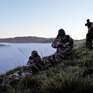 Ample Hunting, NZ