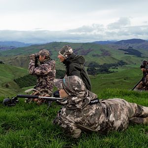 Ample Hunting, NZ