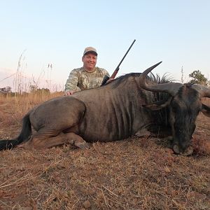 Blue Wildebeest Hunting in South Africa