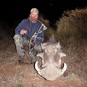 Hunting Warthog in Namibia