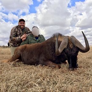 Hunting South Africa Black Wildebeest