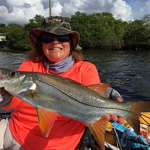 Florida snook