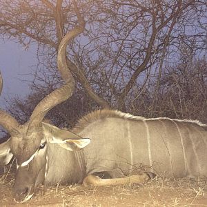 South Africa Kudu Hunting