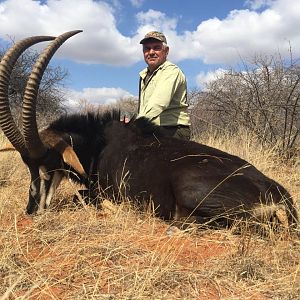 South Africa Hunt Sable Antelope