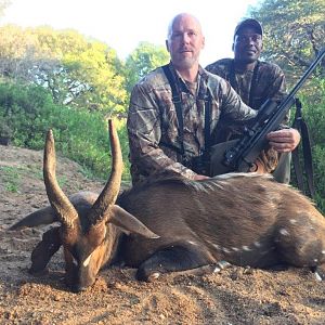 Bushbuck  Hunting South Africa