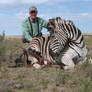 Burchell Zebra