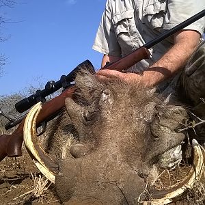 Warthog Hunt